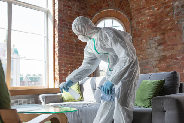 Why You Should Choose Our Mold Remediation Services in Seis Lagos, TX